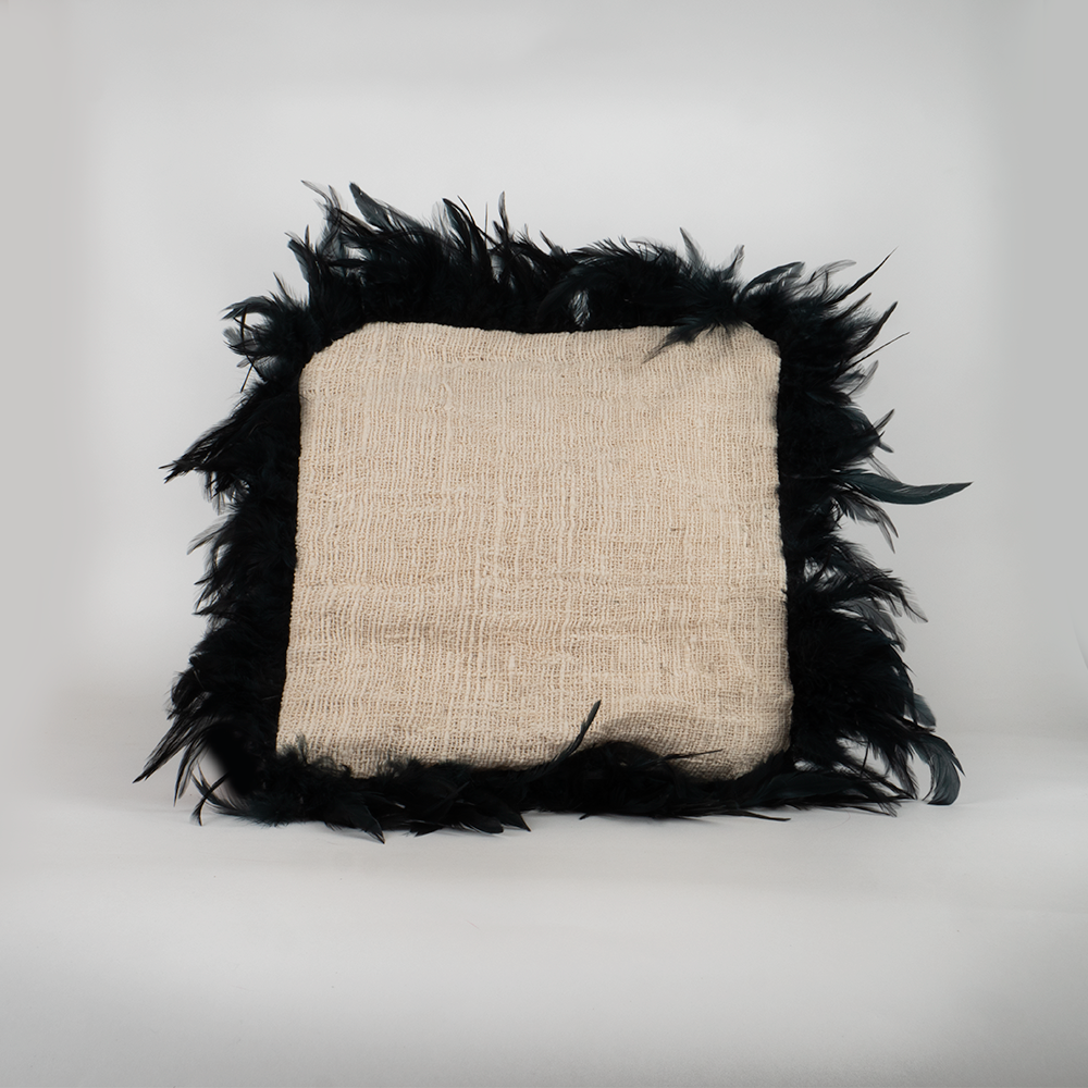 Housse de coussin écru et plumes noires